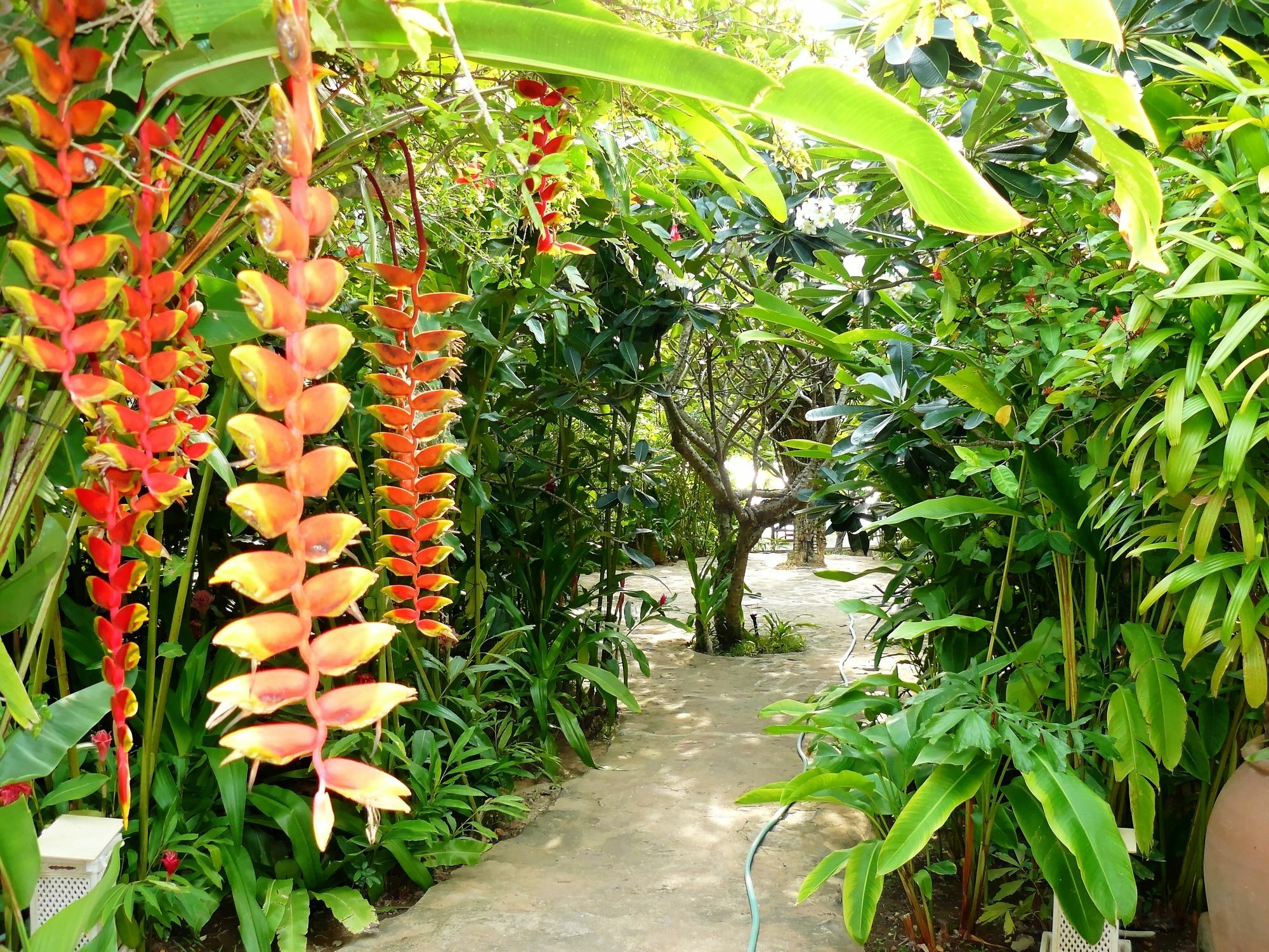 Mealea Resort Kep Exterior foto