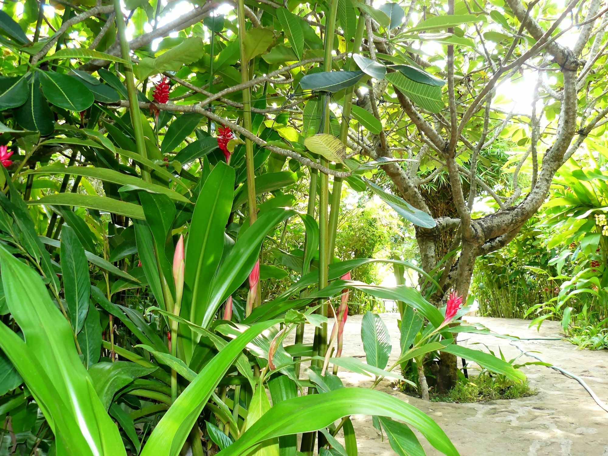 Mealea Resort Kep Exterior foto