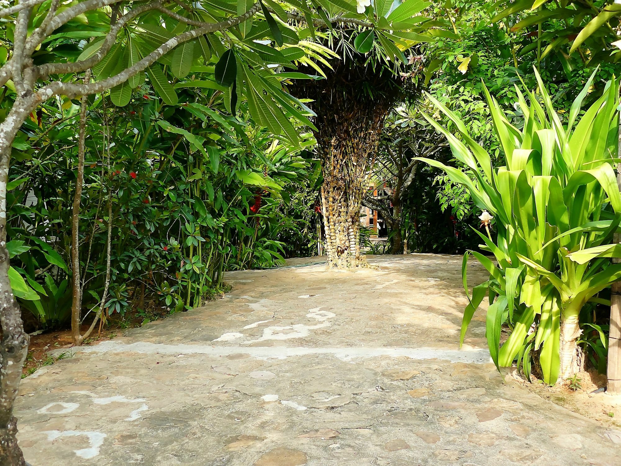 Mealea Resort Kep Exterior foto