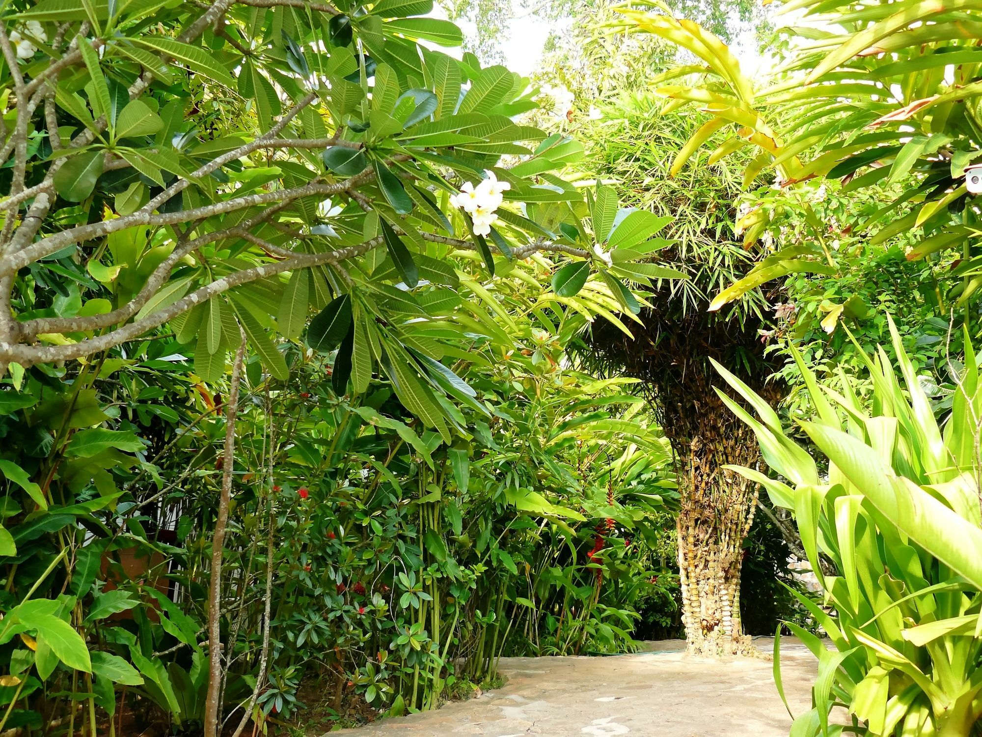 Mealea Resort Kep Exterior foto