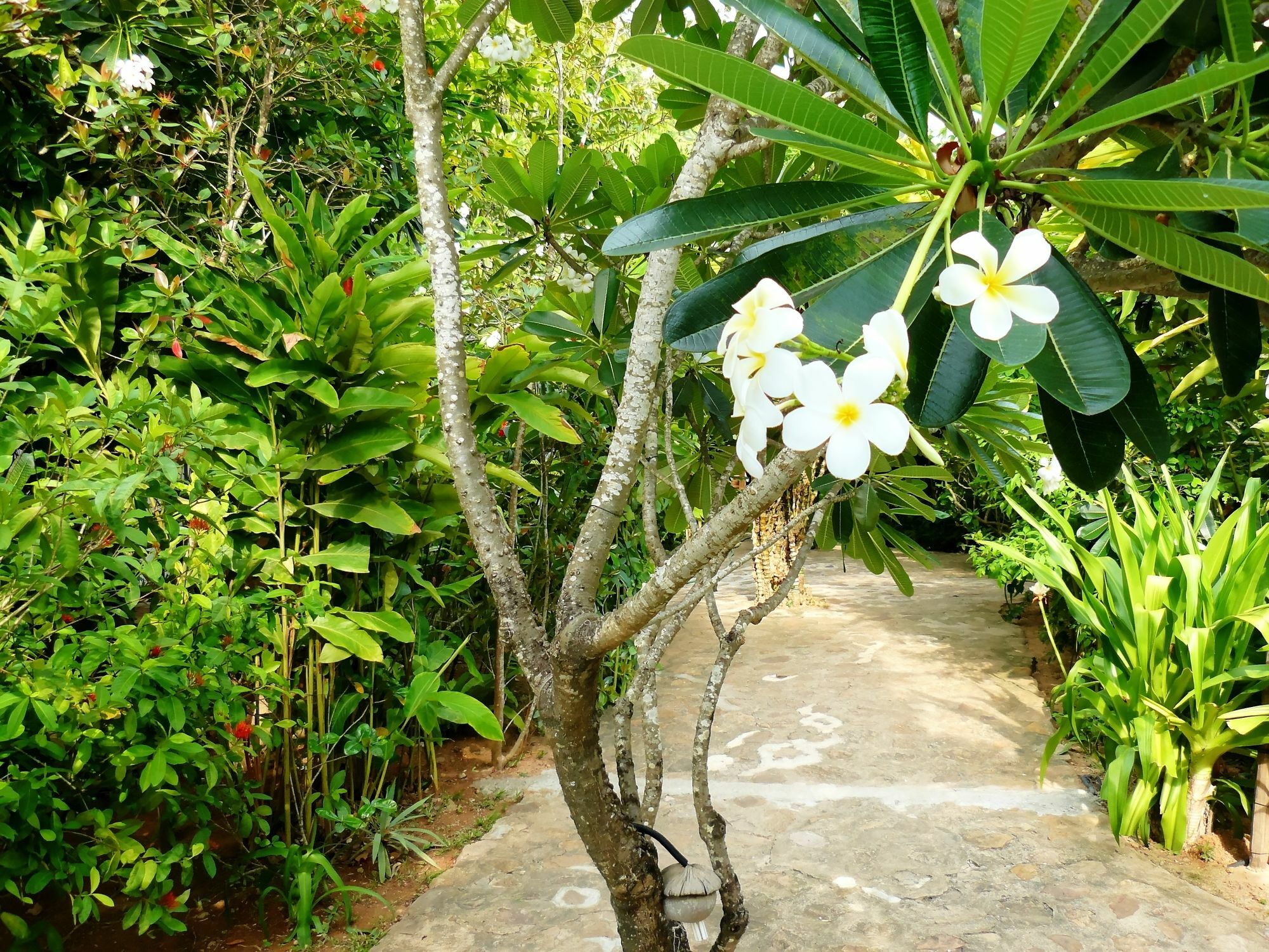 Mealea Resort Kep Exterior foto